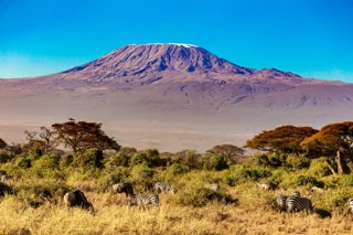 Mountain Kilimanjaro Day hike