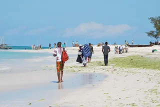 Zanzibar Beach