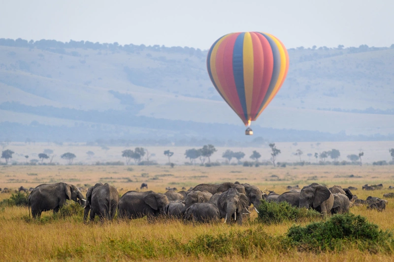 Authentic Safari Thrills in East Africa