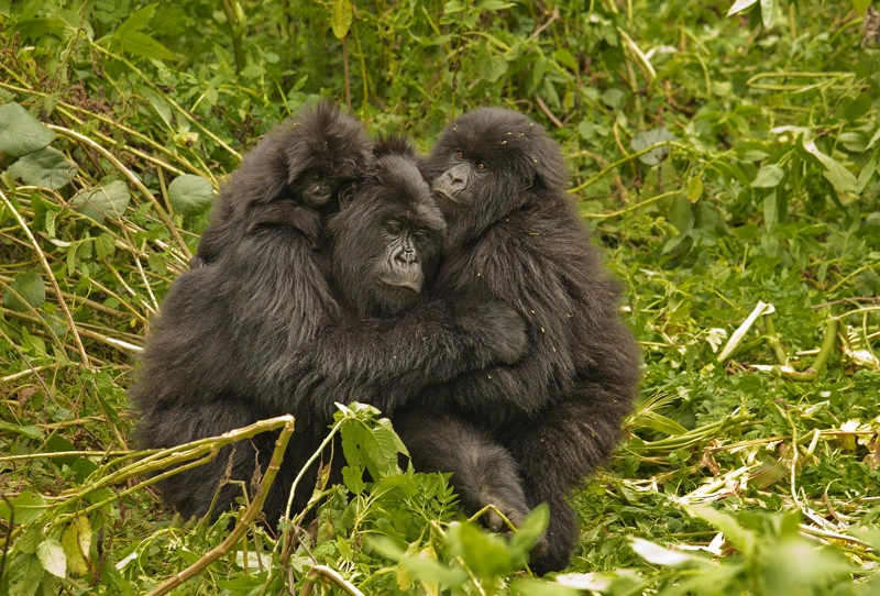 Rich Heritage Discovery in Uganda