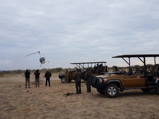 11 Days Kenya Luxury Flying Safari