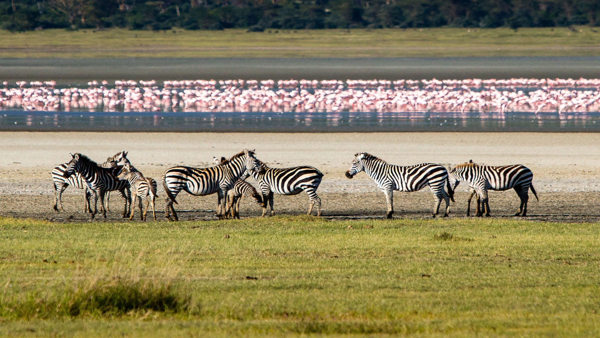 5-Day Tanzania Safari Itinerary | Private Guided Tour
