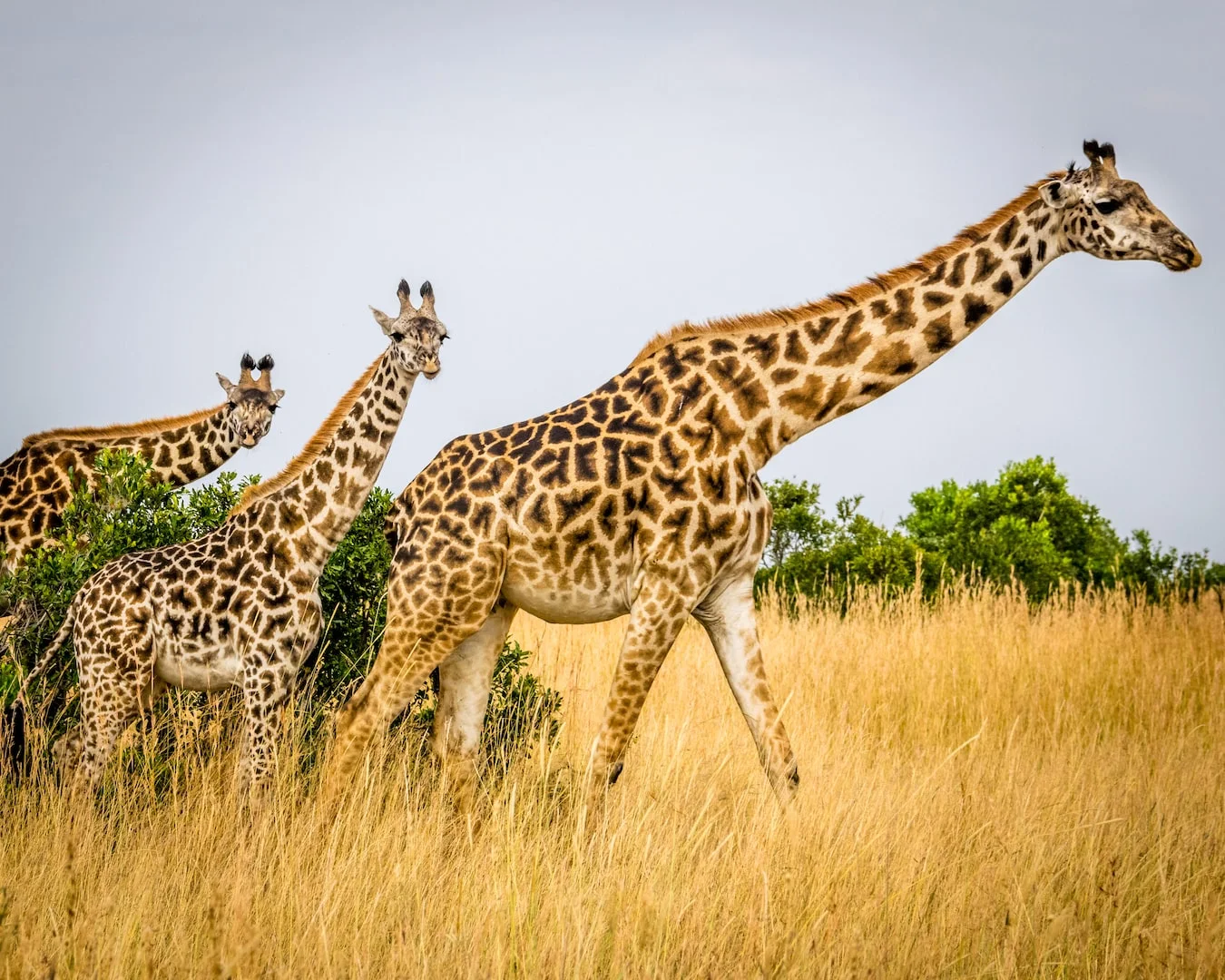 Arusha National Park
