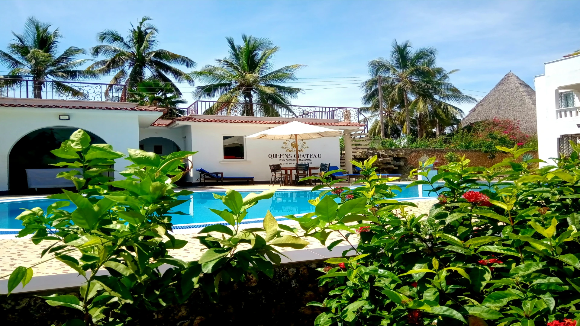 Diani Beach: Kenya's Best Beach and Safari Experience