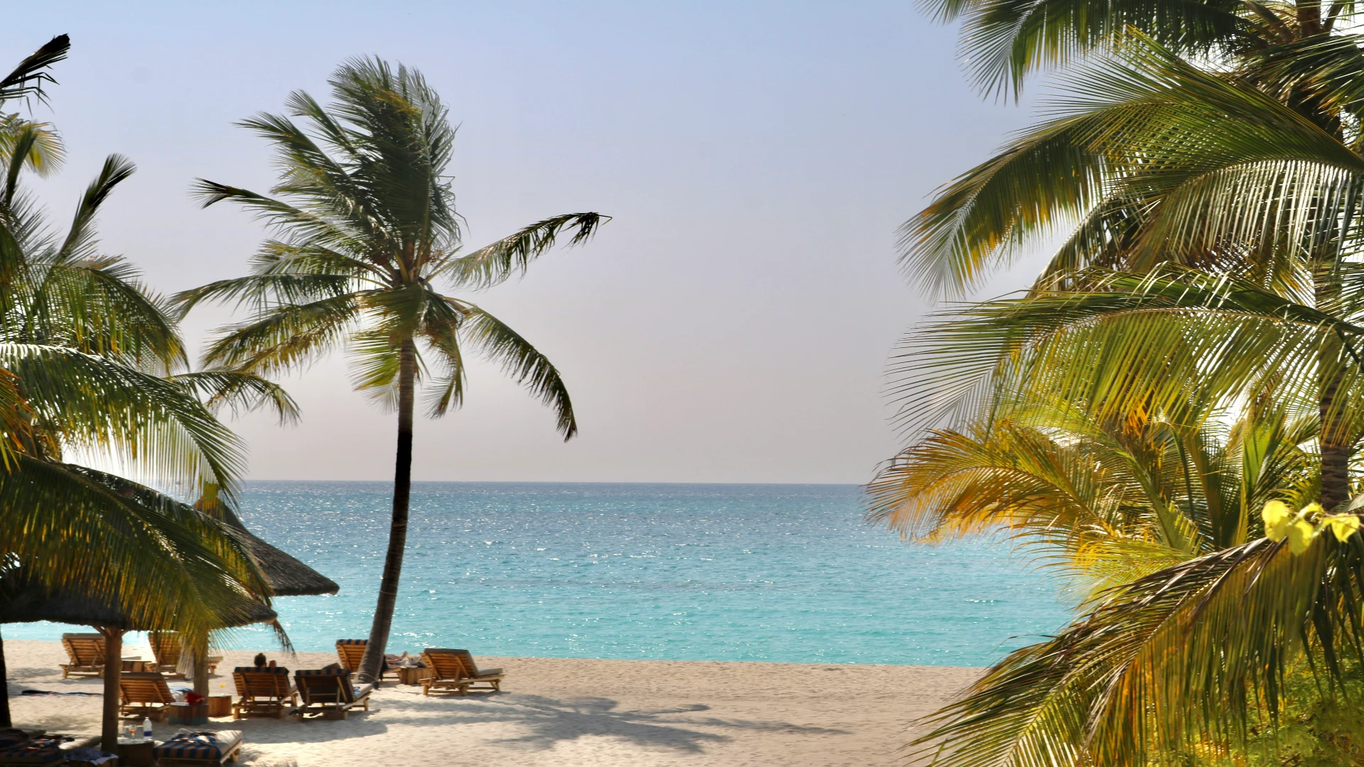 Ultimate Zanzibar Beach Guide: Pristine Sands & Island Life