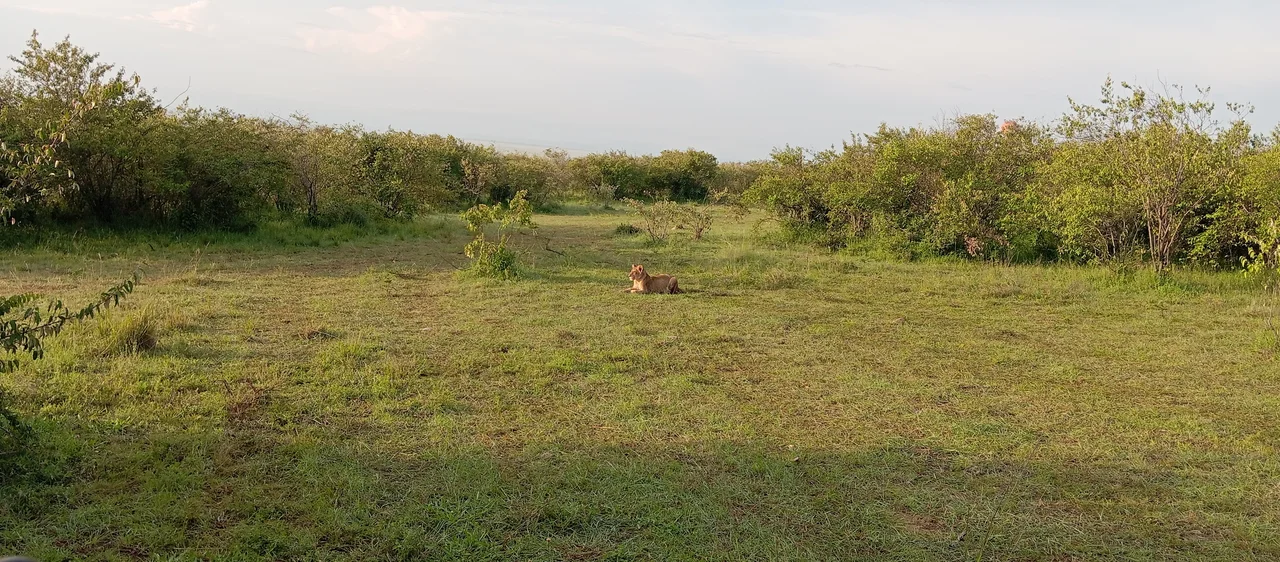 10-Day Kenya & Tanzania Bespoke Private Safari