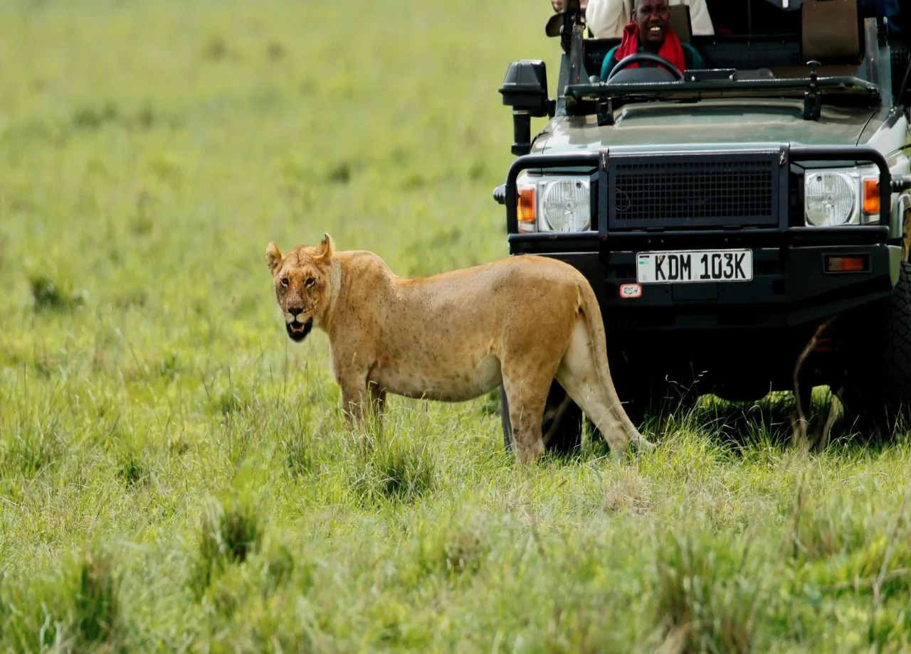Bush and Beach Travel and Safaris in Africa