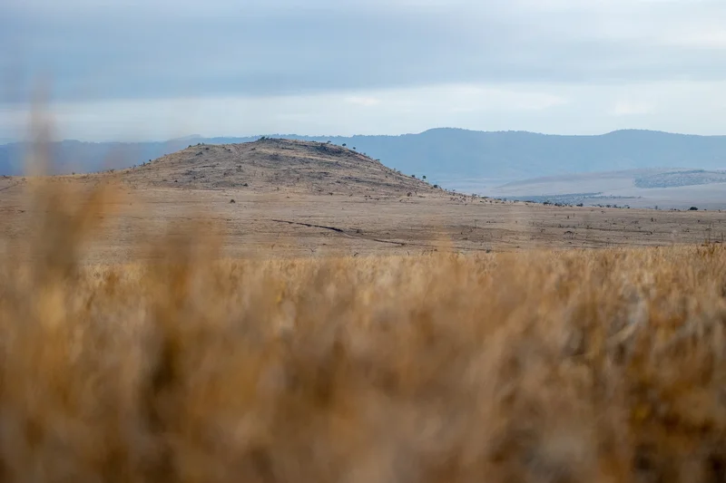Lewa Downs Conservancy